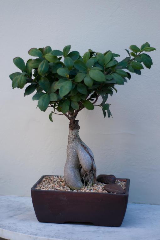 Doncaster Cottages 伊丽莎白港 外观 照片